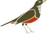 paraguaio